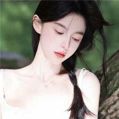 凤舞龙翔
